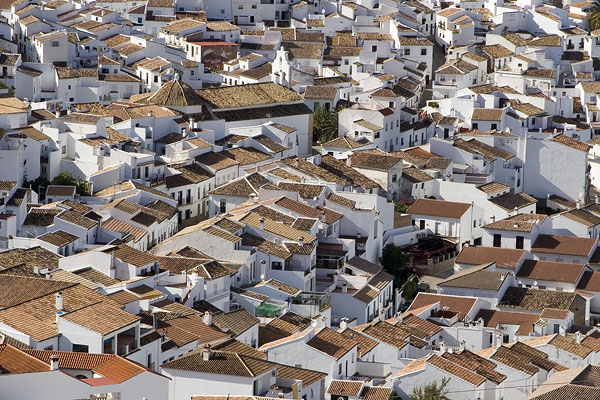El Gastor village is 4 km away